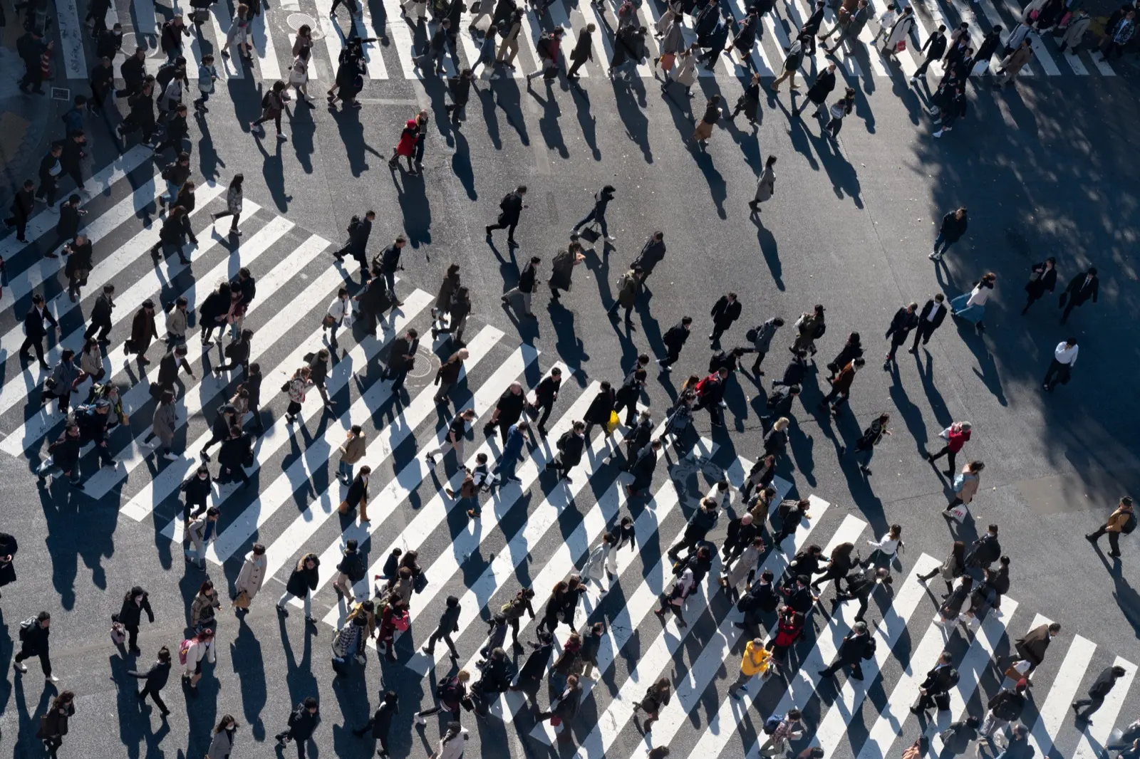 A crowded pedestrian crossing in Tokyo seen from above, hundreds of people mid-stride casting long shadows